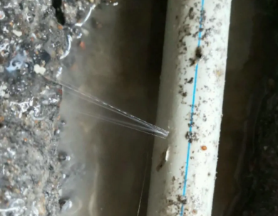 胶州测漏水哪家好