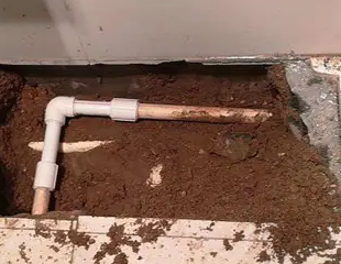 胶州测漏水哪家好