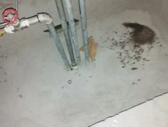 胶州卫生间测漏水价格明细