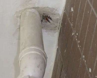 胶州漏水检测哪家好